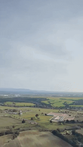 theballooncompany GIF