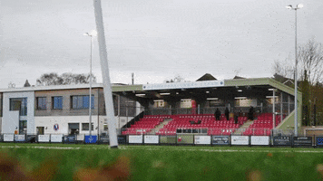 Park Leaves GIF by Dorking Wanderers Football Club