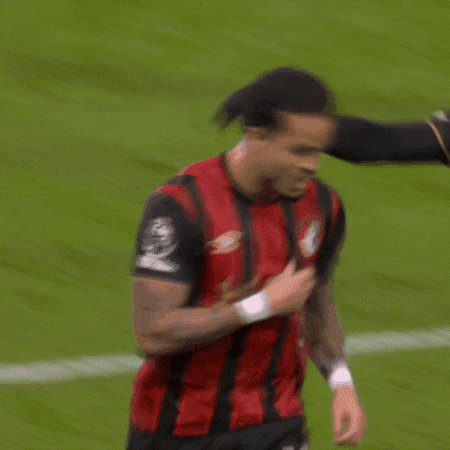 Premier League Football GIF by AFC Bournemouth