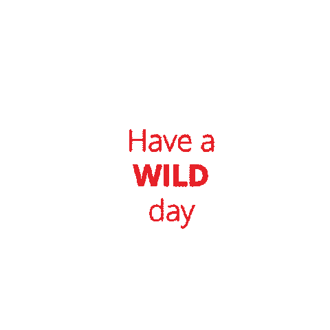 Wilde & Partner Communications Sticker