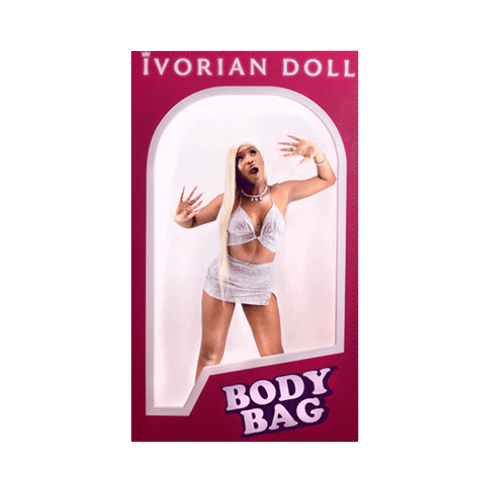 Body Bag Barbie Sticker by Ivorian Doll