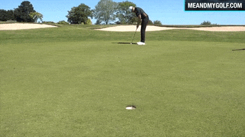 Putting Golf Course GIF by Me and My Golf