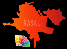 Rasal Pintors GIF