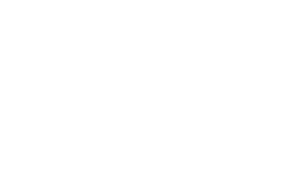 Brushes Bürsten Sticker by Bürstenfabrik Faller