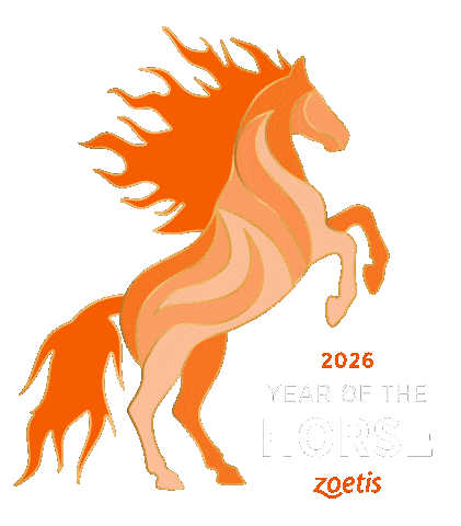 Chinese New Year Zoetis Sticker by ZoetisEquine