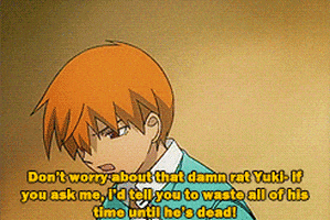 fruits basket