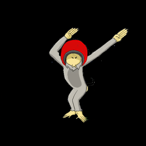 iggoyelfitra monkey ape padang monyet GIF