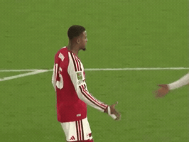 Arsenal 2026 GIF by memes