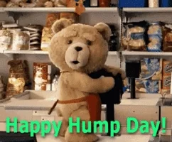 happy hump day GIF
