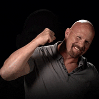 The Rock And Stone Cold Steve Austin GIFs - Get the best GIF on GIPHY
