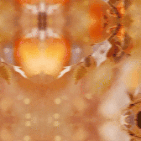 Fall Autumn GIF by TeaCosyFolk