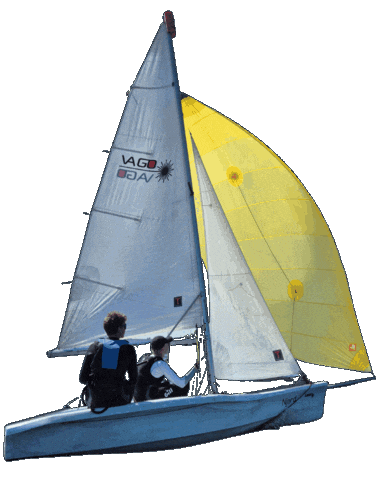 Laser Watersport Sticker by Zeilschool Op de Helling