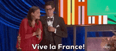 France Oscars GIF by The Academy Awards