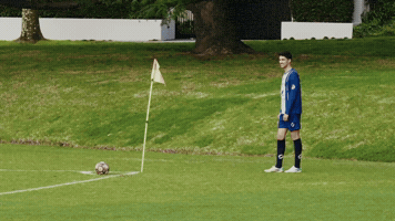 Ocsc GIF by Oldcamberwellsc