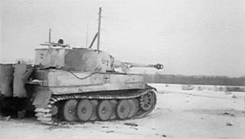 Germany Tiger GIF