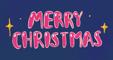Merry Christmas Party GIF by macniten