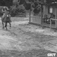 Tv Show Running GIF by GritTV