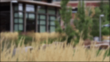 200.gif?cid=fc005b08fb364bf4696ed504bce54a27fbfcb9634e040a17&rid=200.gif&ct=g