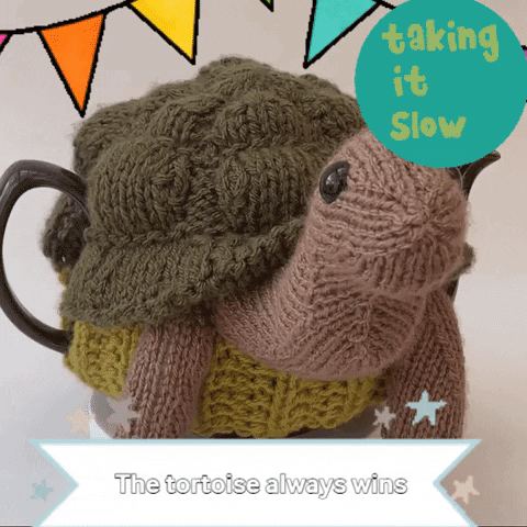 Taking It Slow Galapagos Islands GIF by TeaCosyFolk
