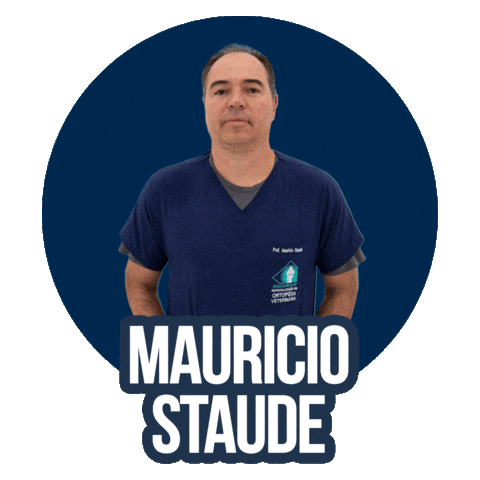 Ortopedia Anclivepa Sp Sticker