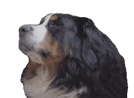 Tara Kalf Sticker by Aniways