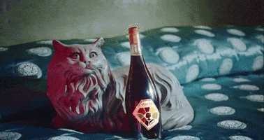 Non-Alcoholic Cat GIF by Starla Wines