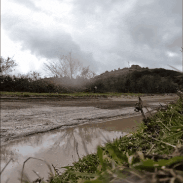 Splash Mud GIF by FIA European Rally Championship