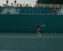 Tennis Anger GIF by Warner Bros. Deutschland