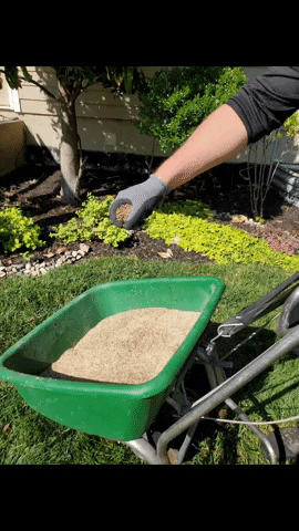 Grass Satisfying GIF by Lawnscape Specialists
