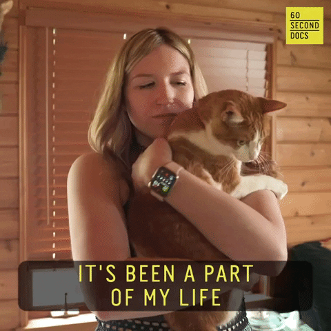 Cat Lady GIF by 60 Second Docs