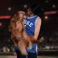 March Madness Dog GIF by Basketball Madness