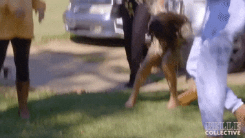 Fall Oops GIF by OWN: Oprah Winfrey Network