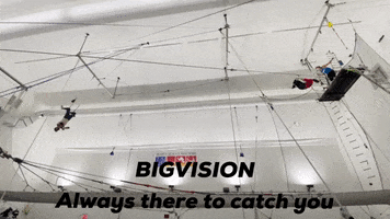 BIGVISIONNYC sober bv bigvision bigvision always there to catch you GIF