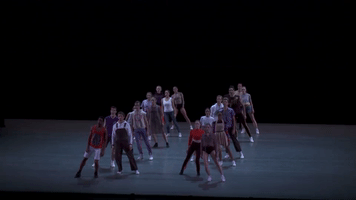dance fall GIF by New York City Ballet