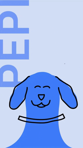 Pet Shop Dog GIF by Pet Toalhas
