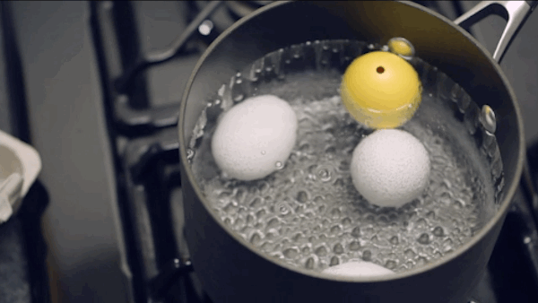 How To Egg GIF By The Container Store Find Share On GIPHY How To Egg GIF By The Container Store Find Share On GIPHY