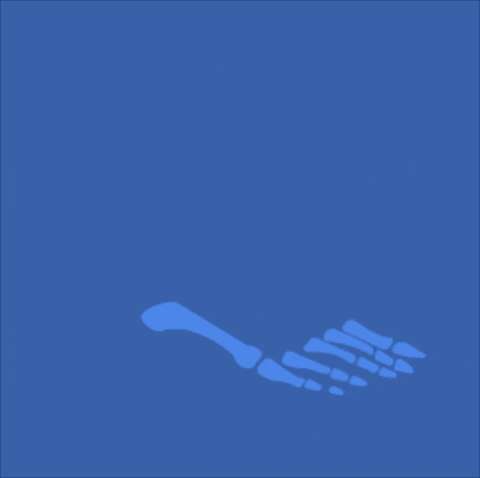 Ortopedia GIF