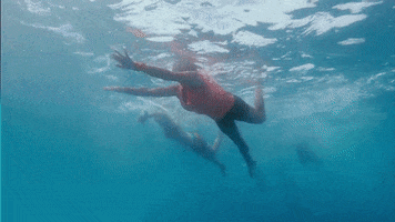 Under Water Swimming GIF by Survivor CBS