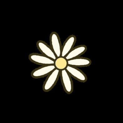 Jh00nz flower daisy flor margarida GIF