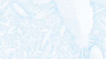 Solve Magical Girl GIF