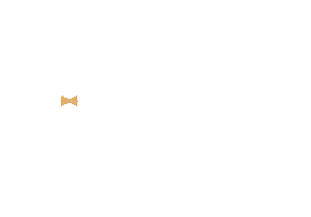Team Immobilier Sticker by lagencerie