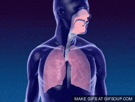 Out Of Breath GIFs - Find & Share on GIPHY