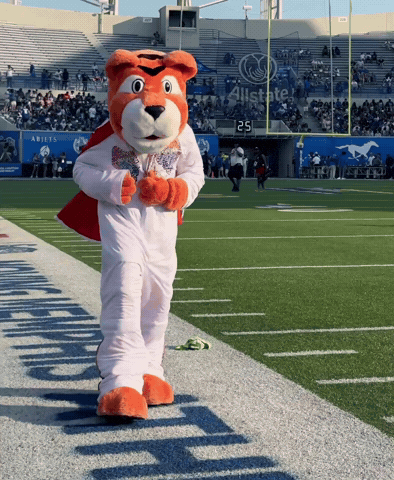 Memphis Tigers College GIF by University of Memphis
