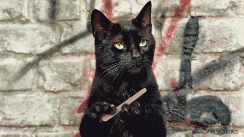 giphy.gif?cid=4d1e4f29efe8cd378257ac4d1705a7e3a7aa7057357eecca&rid=giphy.gif