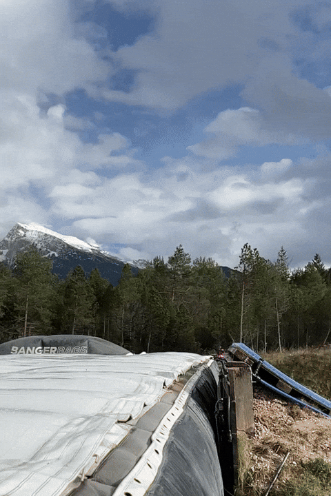 bonebinding GIF