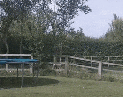 Tramp Stamp GIFs - Find & Share on GIPHY