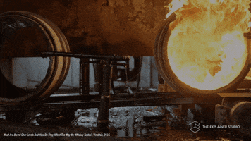 Whiskey GIF by The Explainer Studio