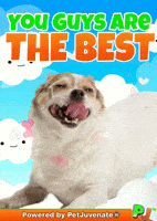 Henlo Hooman Fren GIF by PetJuvenate - PJ