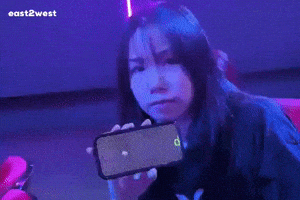 East2West GIF