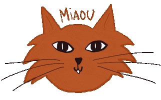 Cat Sticker